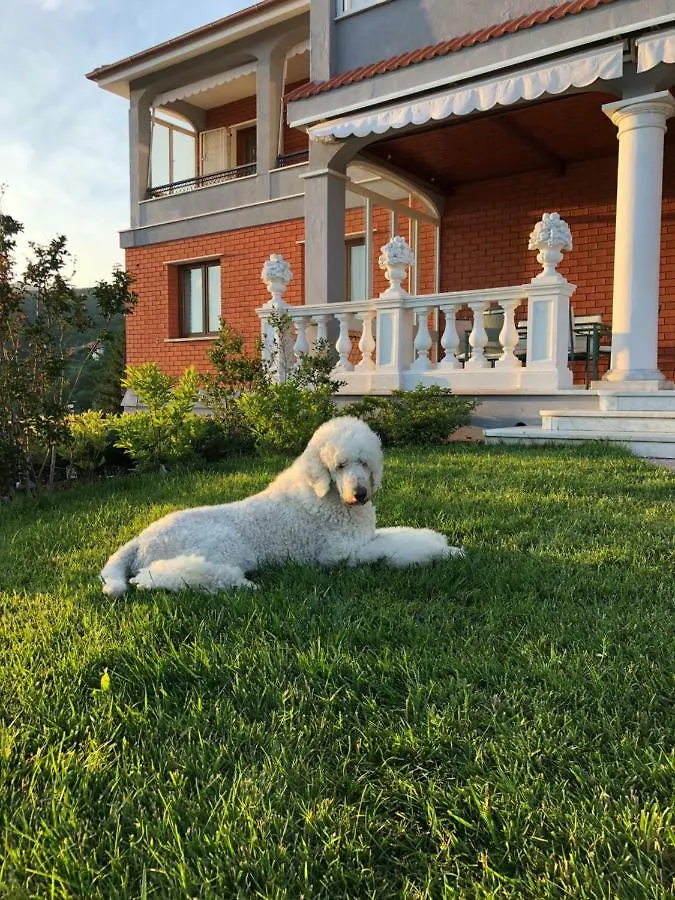 Bed & Breakfast Locanda Costa Otto.Zero San Martino